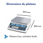 Balance Homologuée de marché XTA – Avec Vignette Verte
