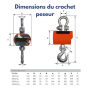 Crochet peseur Baxtran STX | 1 à 10 tonnes | ACT Pesage