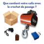 Crochet peseur Baxtran STX | 1 à 10 tonnes | ACT Pesage