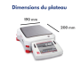 Balance professionnelle de pseage