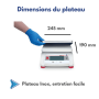 Balance alimentaire