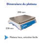 Balance compteuse RS232