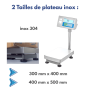 Balance professionnelle pas chère