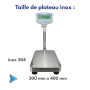 Balance professionnelle pas chère