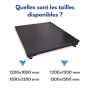 Plate-forme MTZ Baxtran