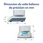 Balance de précision